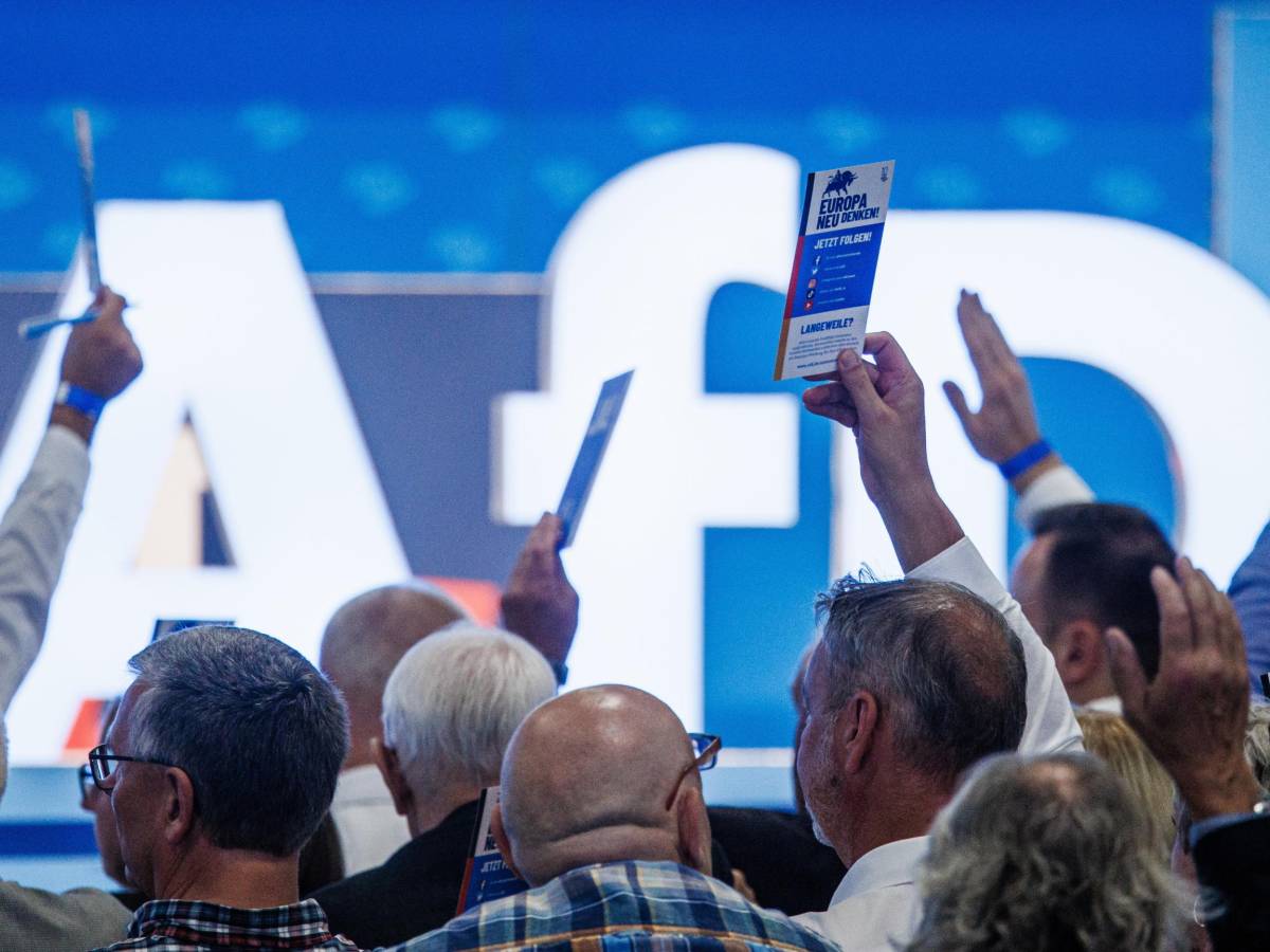 Elezioni in Renania: Cdu prima forza, vola l Elezioni in Renania: Cdu prima forza, vola l