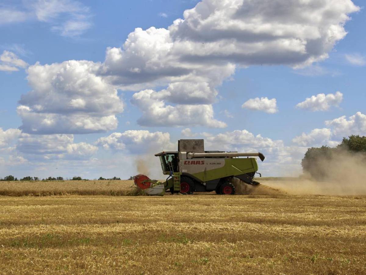 Grano, Il Ricatto Di Putin Trova Una Sponda: Onu Pronta A Tutto Per L ...