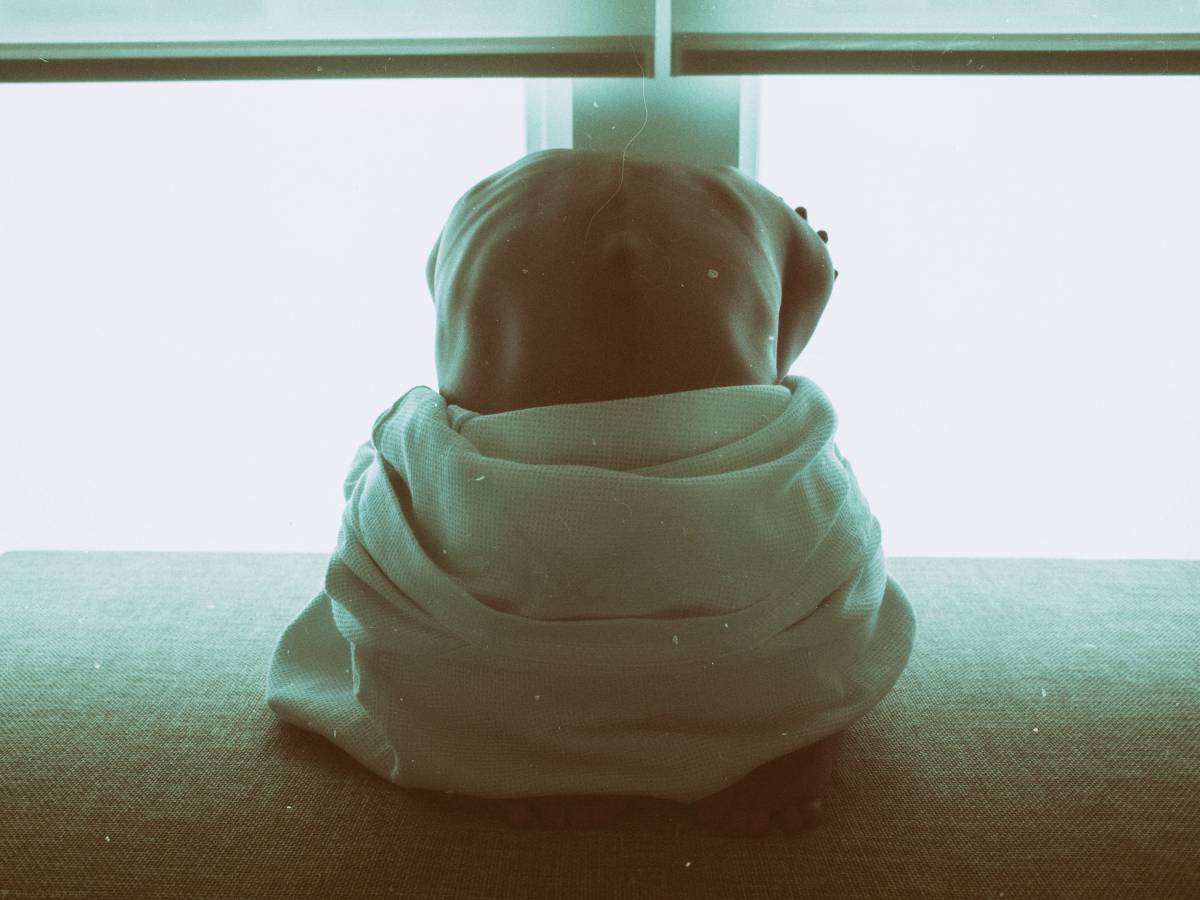 The Vital Role of Kidneys: Functions, Diseases, and Symptoms