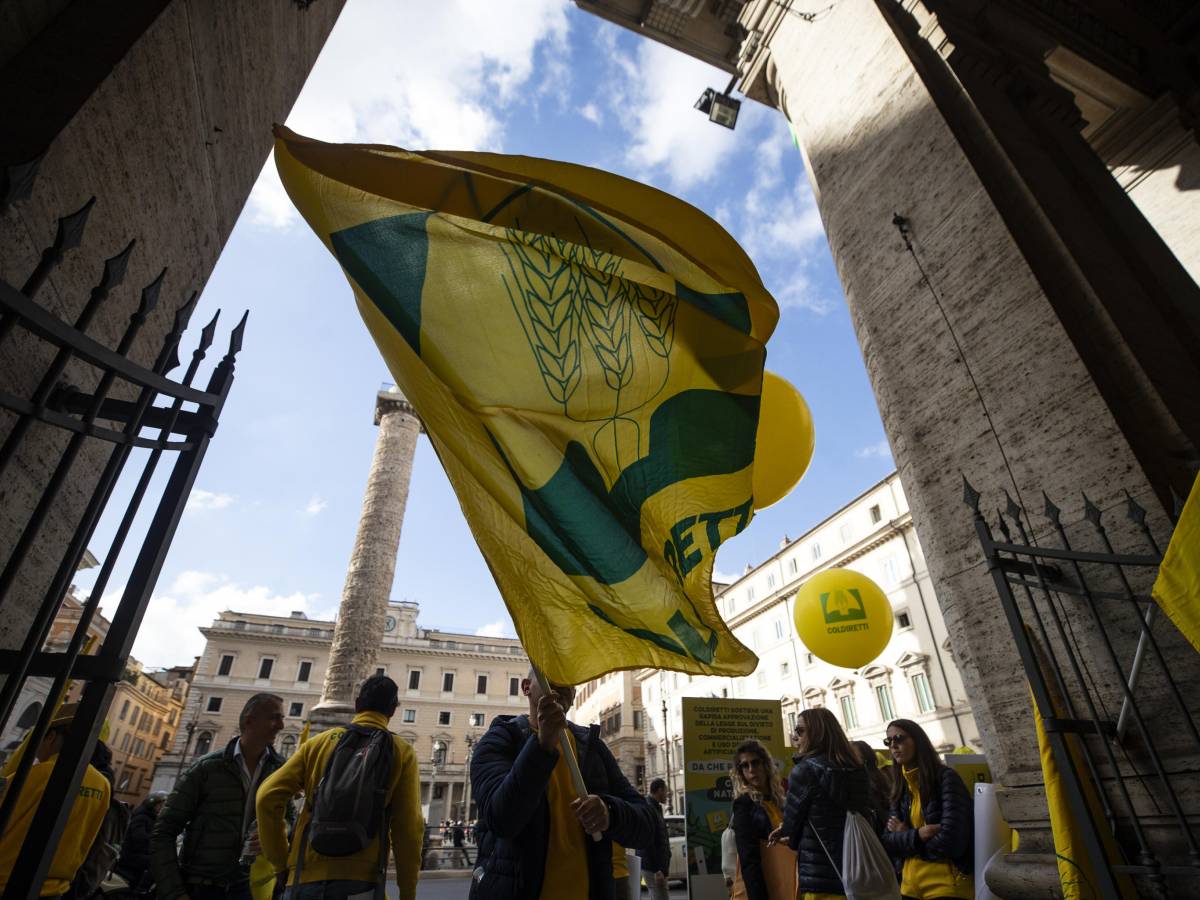 coldiretti piano per il grano da Ilgiornale.it coldiretti piano per il grano