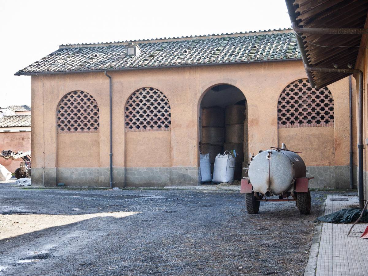 17enne Segregata E Stuprata Per 2 Anni In Un Maneggio Dagli Stallieri ...