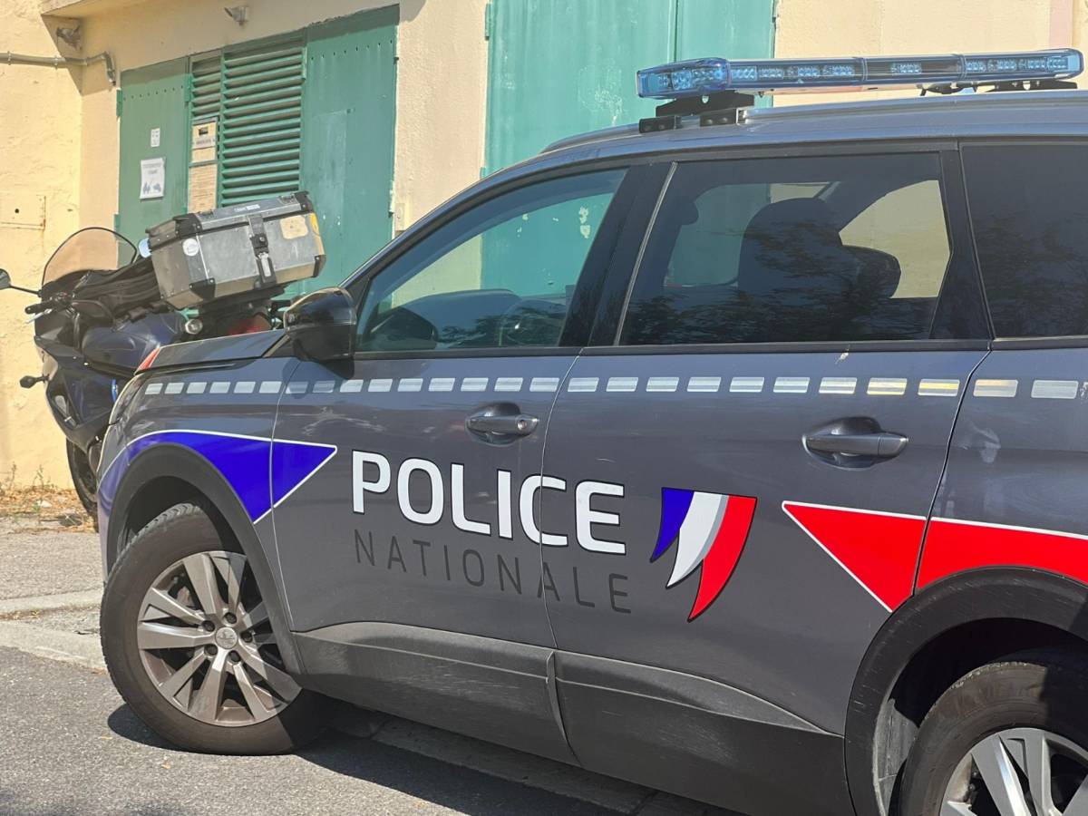 francia gendarme aggredito all arco di trionfo ipotesi terrorismo da Ilgiornale.it francia gendarme aggredito all arco di trionfo ipotesi terrorismo
