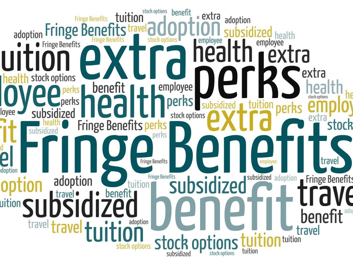 Fringe benefit 2024, quali sono e come funzionano ilGiornale.it