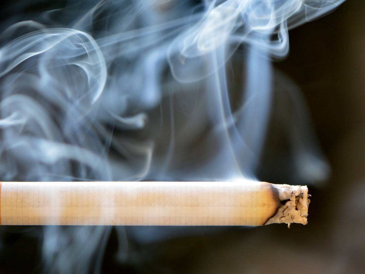 Si accende una sigaretta e fuma in aereo: multato a Bologna - il Giornale Si accende una sigaretta e fuma in aereo: multato a Bologna - il Giornale