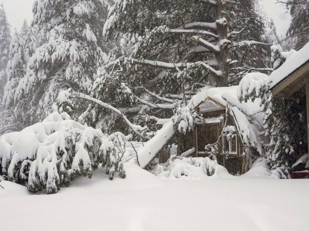 La Poderosa Irruzione Artica Dell Immacolata Piogge Freddo E Neve La Poderosa Irruzione Artica Dell Immacolata Piogge Freddo E Neve