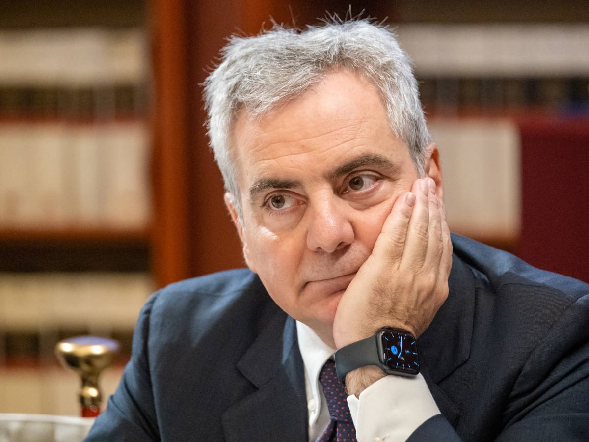 la proposta del pd presentata in senato da Ilgiornale.it la proposta del pd presentata in senato