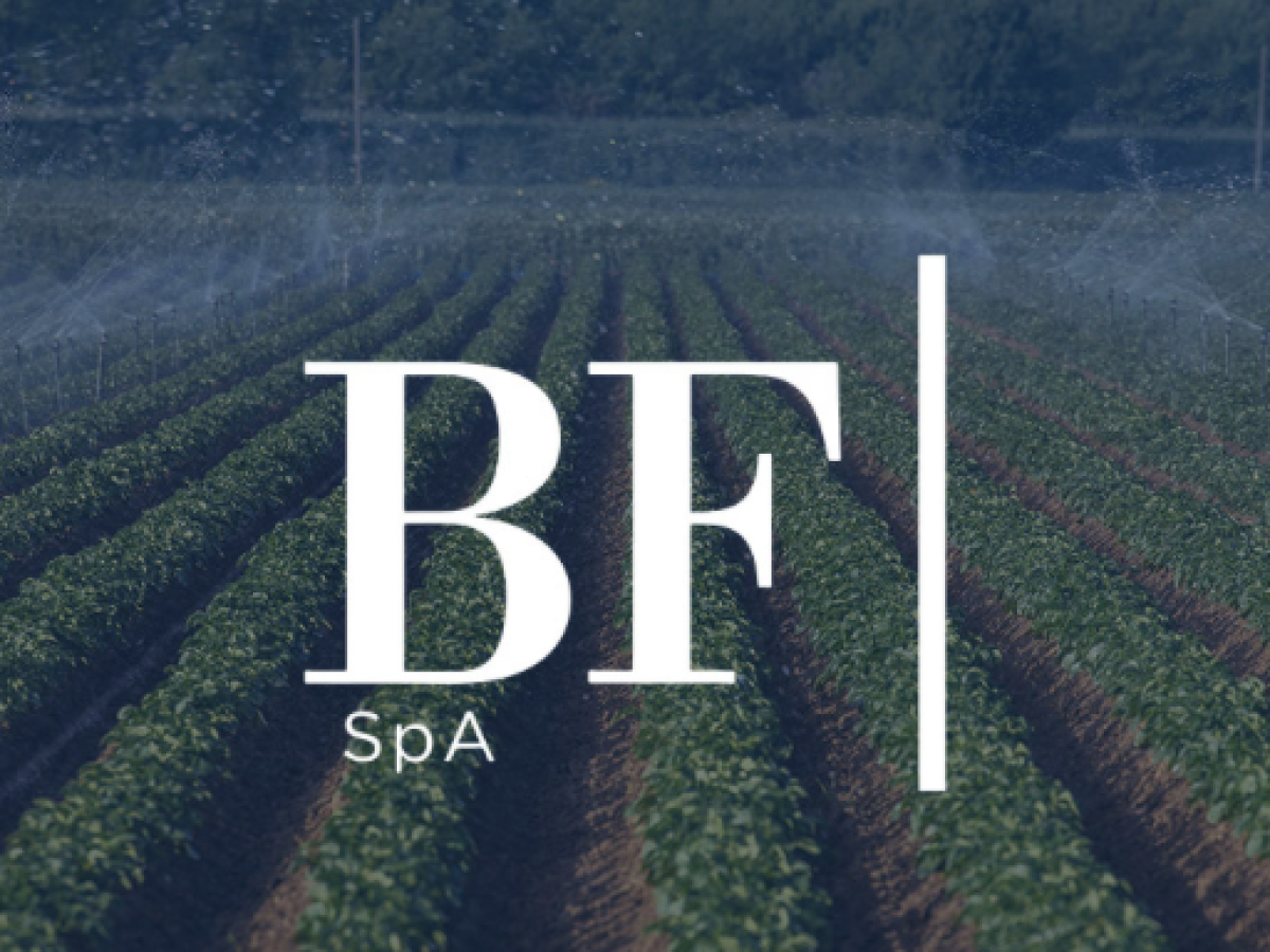 bf spa approvato il bilancio e la distribuzione di un dividendo da Ilgiornale.it bf spa approvato il bilancio e la distribuzione di un dividendo