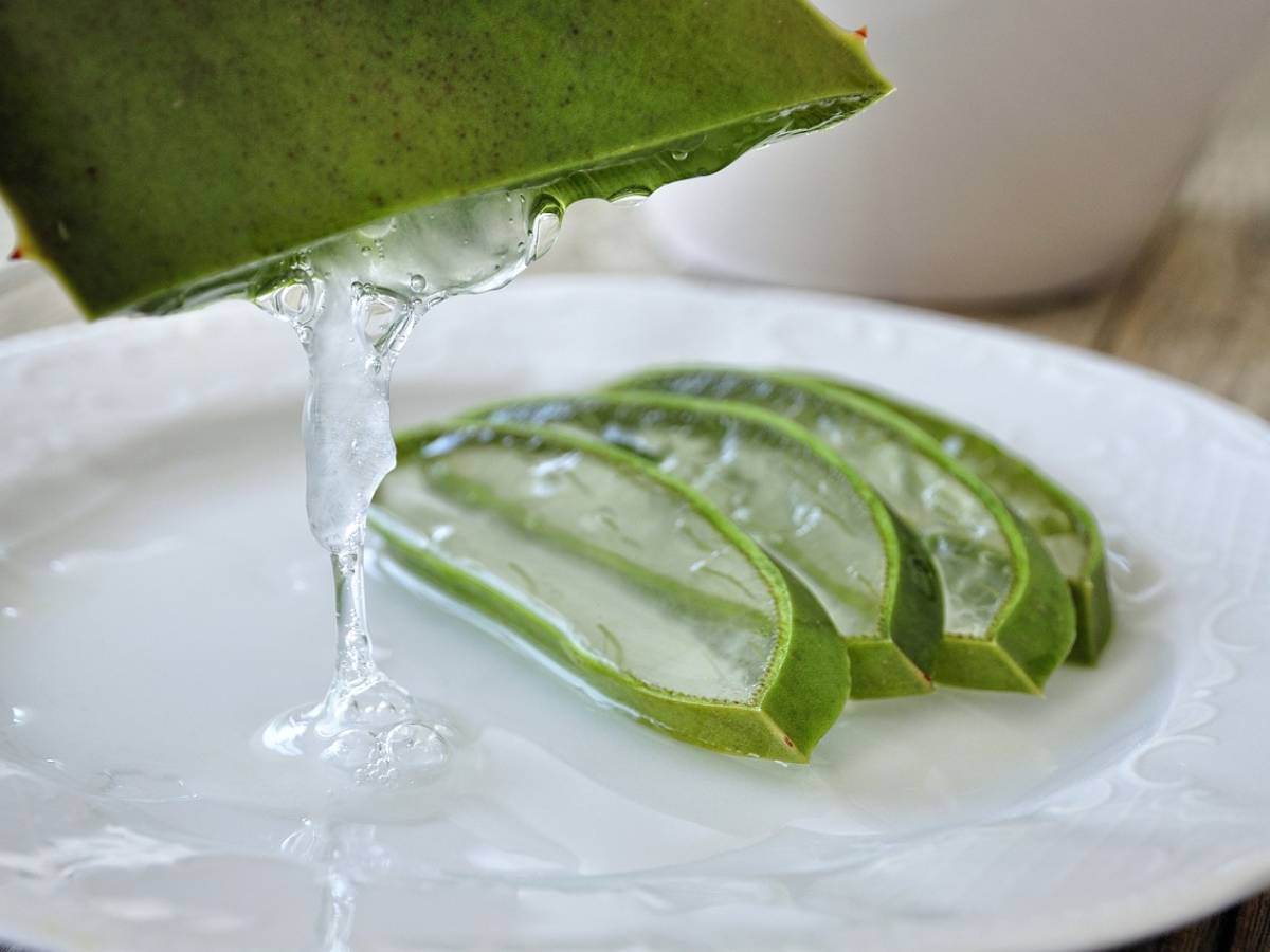 Does ingesting aloe vera juice actually make you shed some pounds?