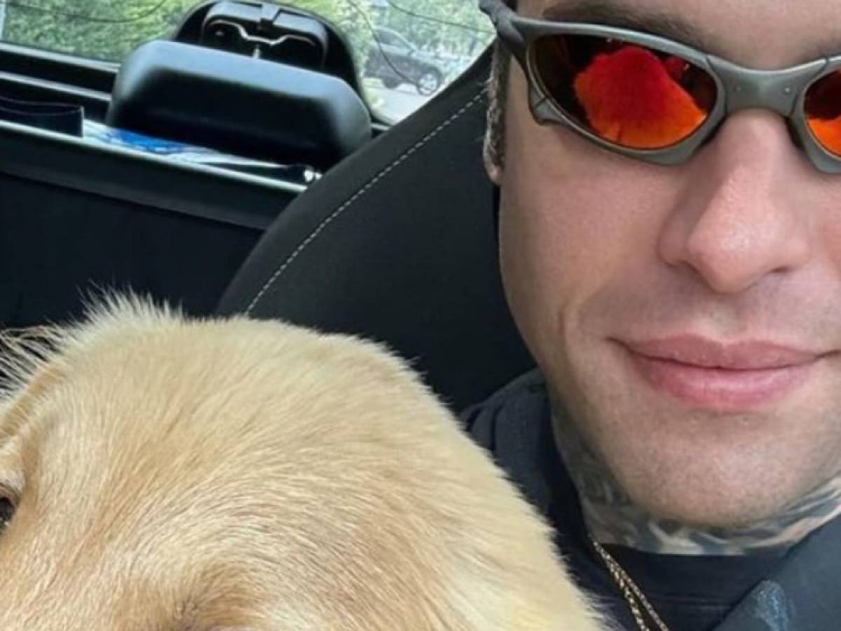 Tra Il Codacons E Fedez Dopo La Guerra Scatta La Pace: Ecco Il Progetto ...