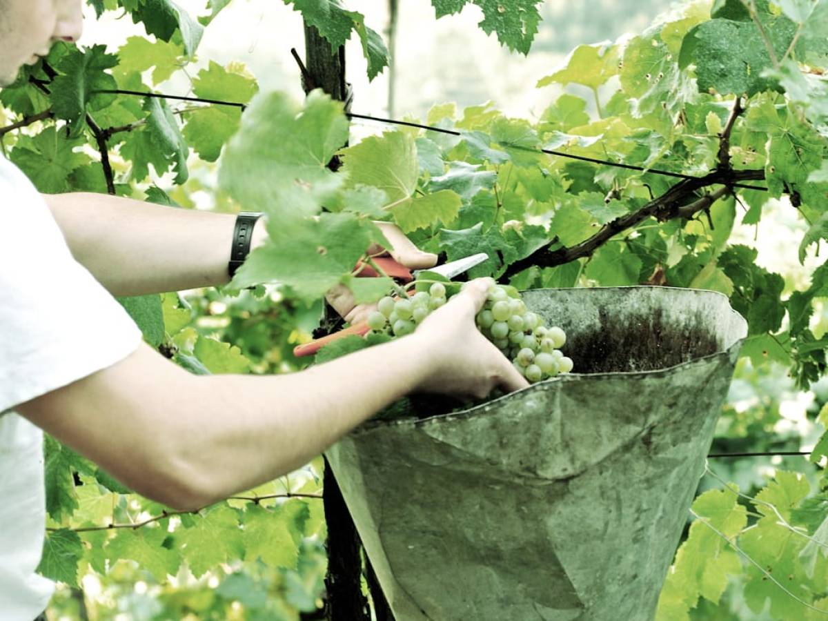 Andreola, tutte le anime di Valdobbiadene