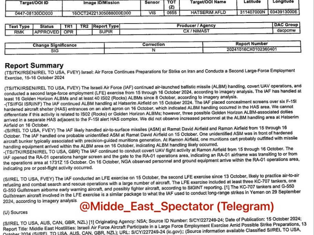 "Diffusi file top secret sull