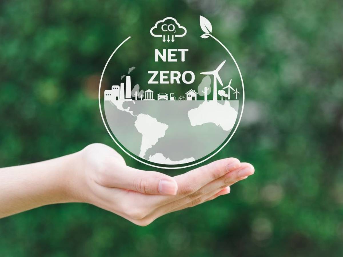 Net Zero