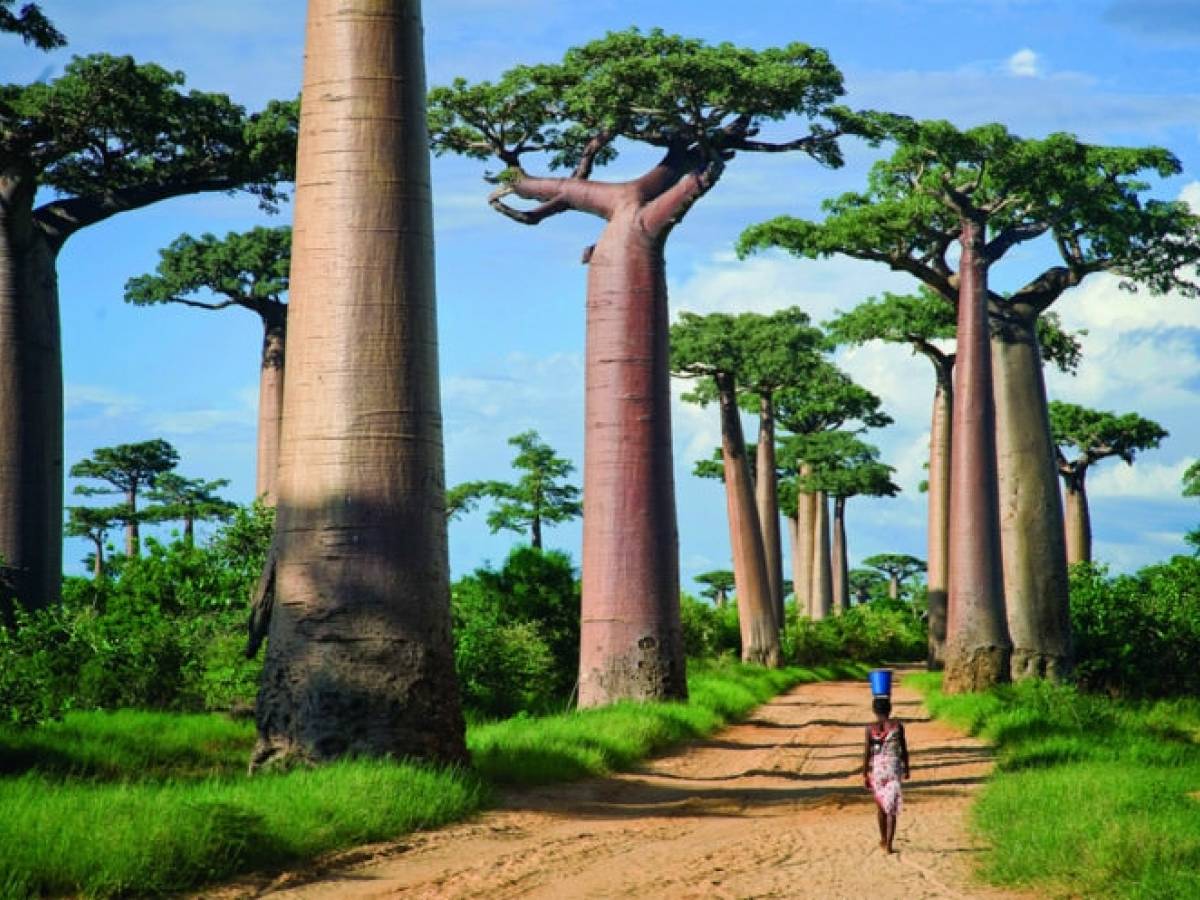 Madagascar paesaggio