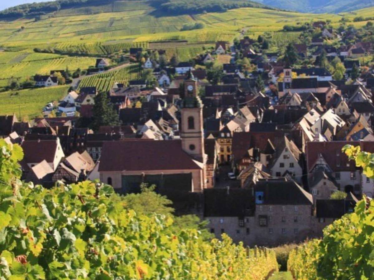 Hugel, le vigne nel villaggio di Riquewihr