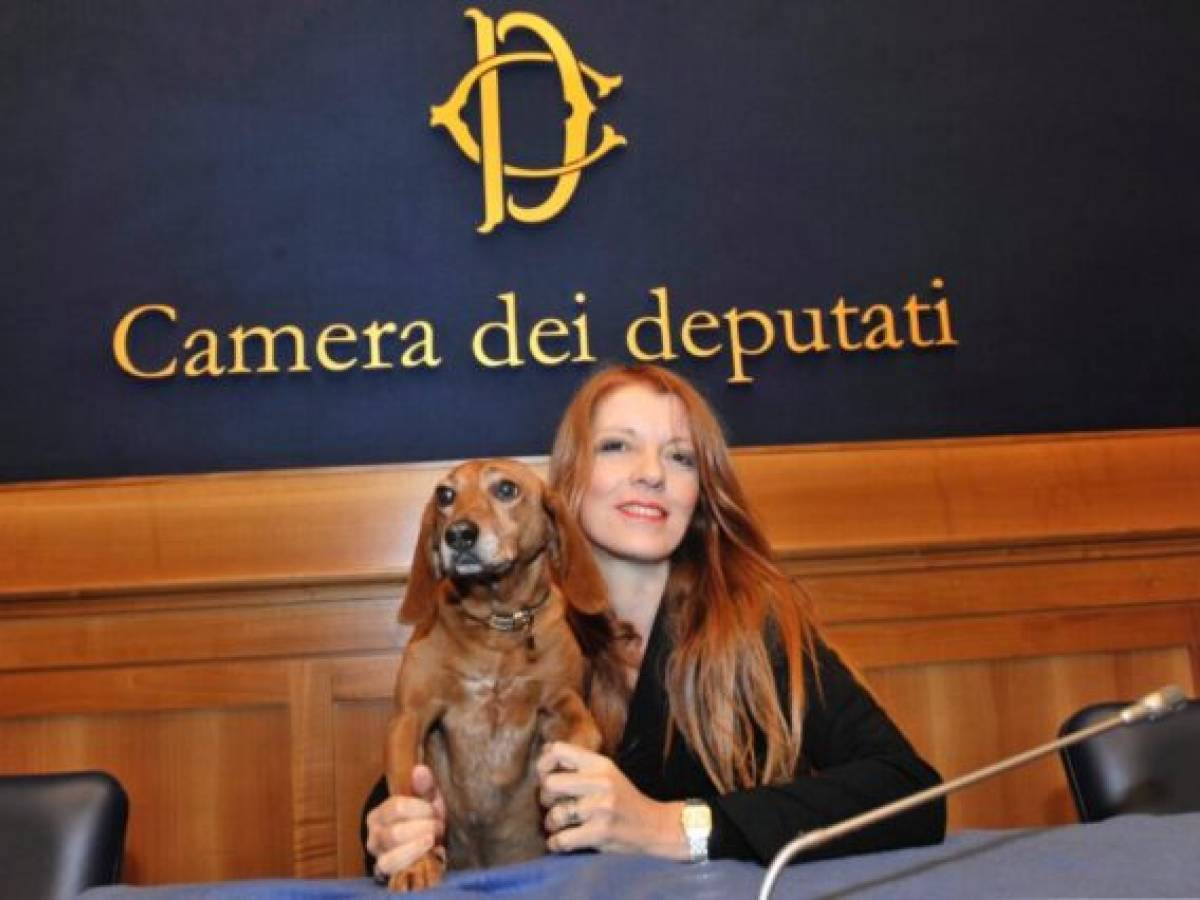 Ok della Camera alla pdl che inasprisce le pene per i reati contro gli animali