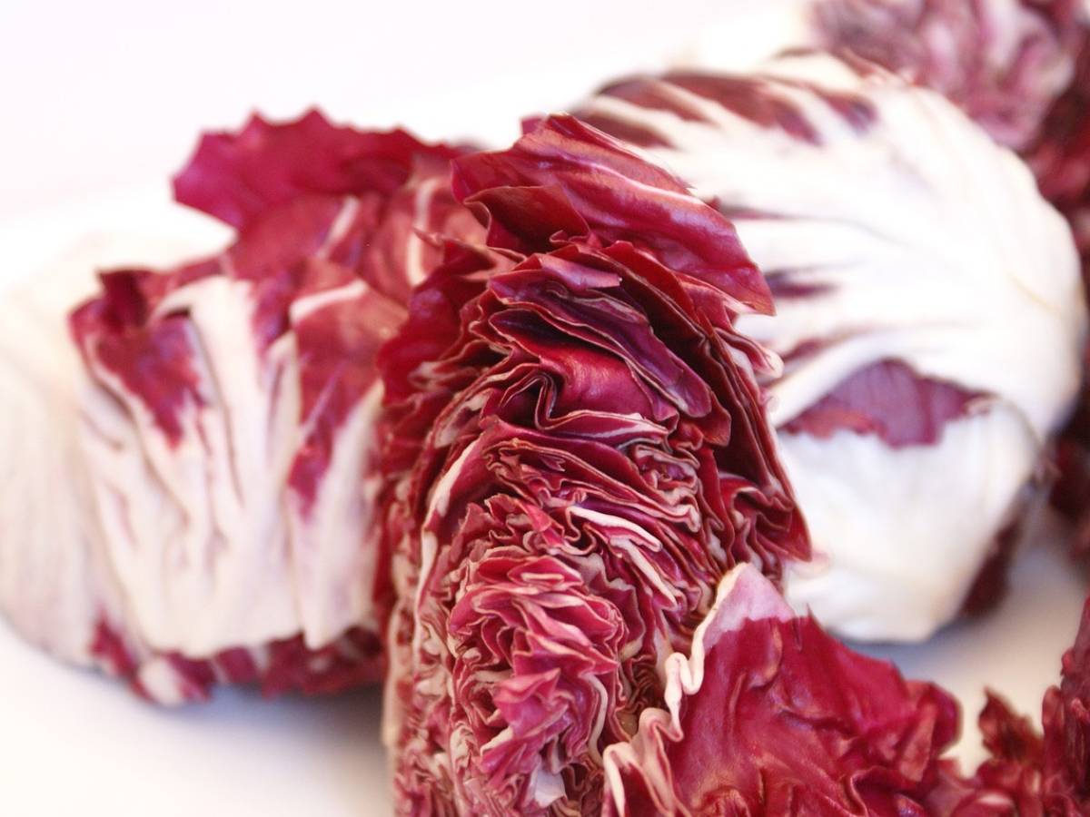 Ecco perché dovresti mangiare più radicchio rosso