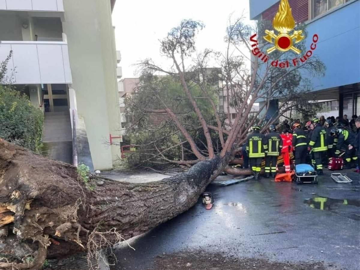 Paura al campus dell