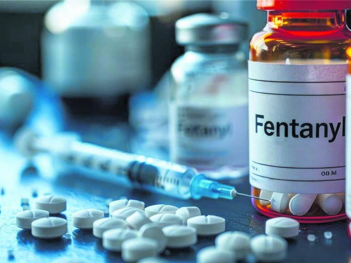 sintetica e redditizia la droga degli zombie 100 volte pi249 potente degli altri oppiacei da Ilgiornale.it sintetica e redditizia la droga degli zombie 100 volte pi249 potente degli altri oppiacei