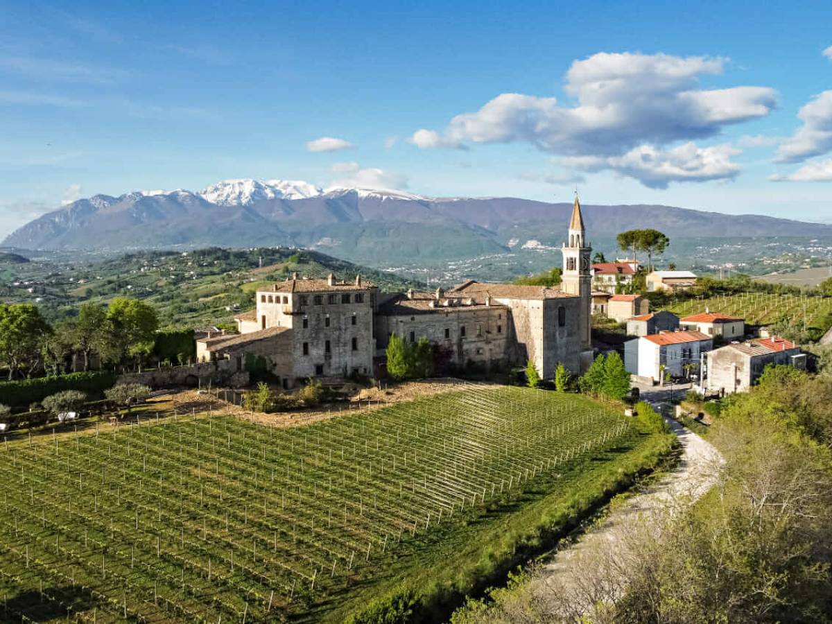 Masciarelli, la natura sulla bottiglia Masciarelli, la natura sulla bottiglia