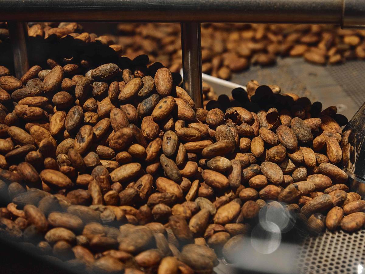 Scopri la Magia del Cioccolato: La Fabbrica di Enrico Rizzi a Milano