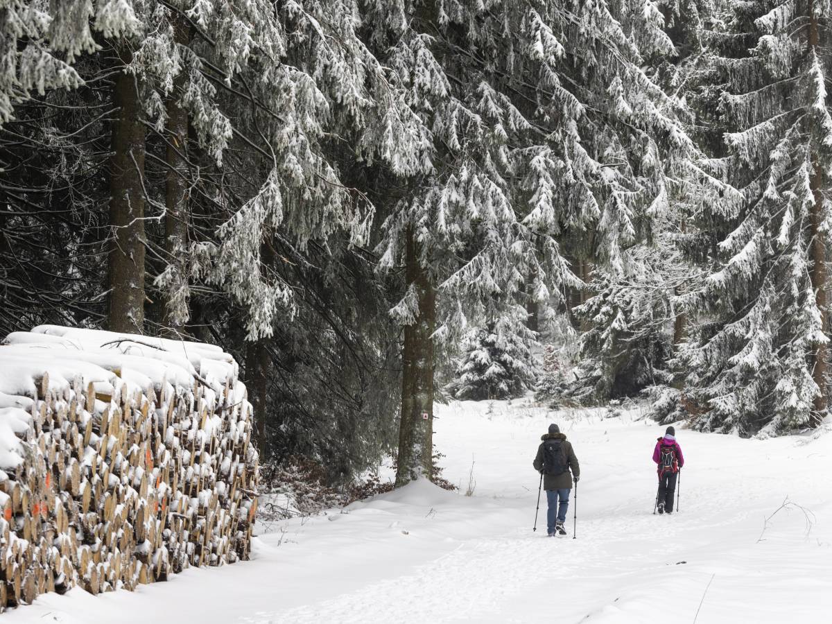 Maltempo e freddo, torna la neve anche a quote basse: ecco dove