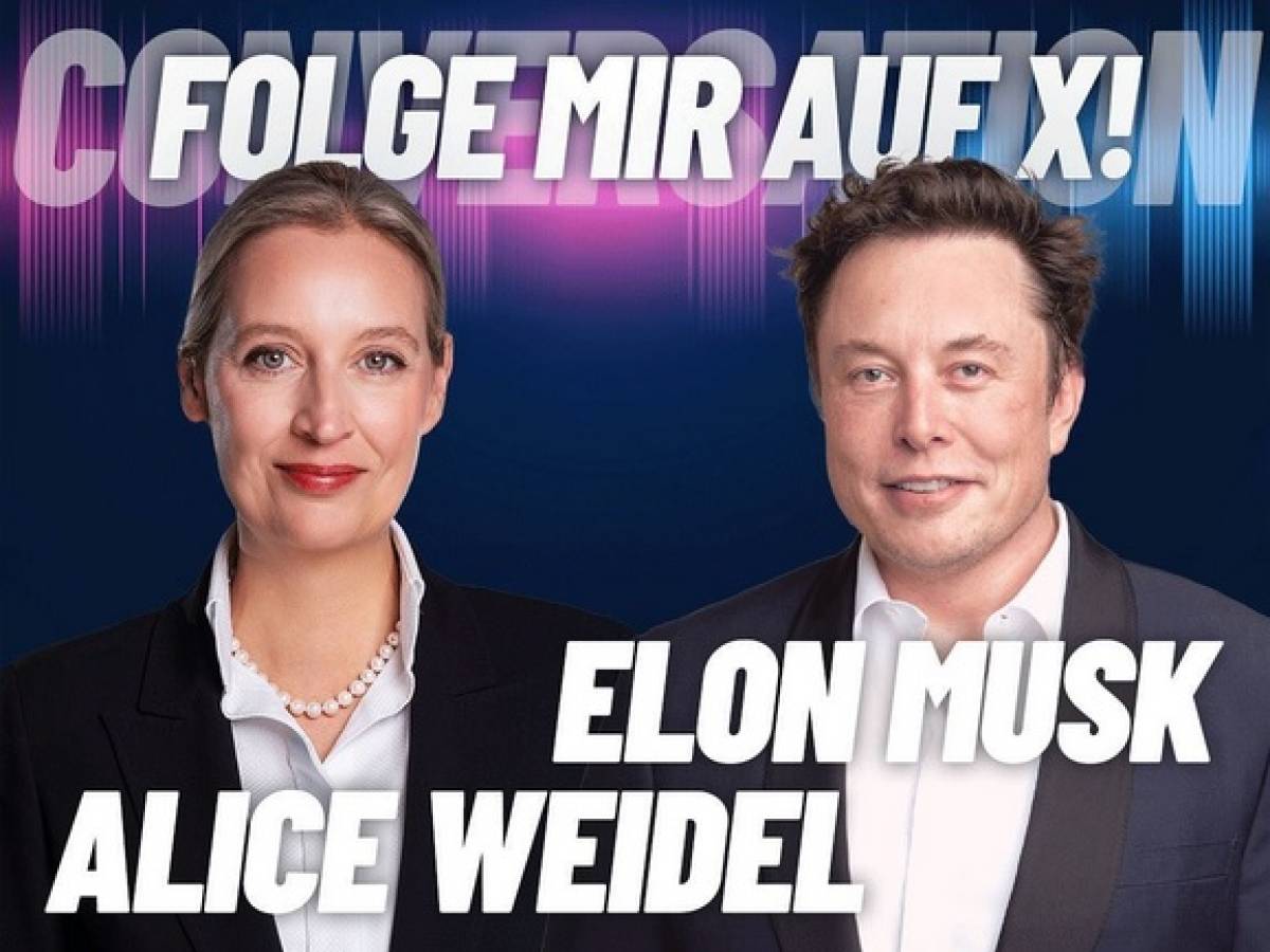 Elon Musk intervista la leader Afd: "La Merkel ha rovinato la Germania"