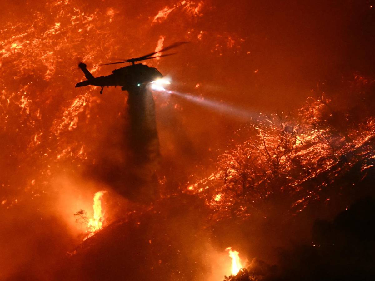 Gli incendi a Los Angeles, il dramma di Paris Hilton e i social che fanno i social