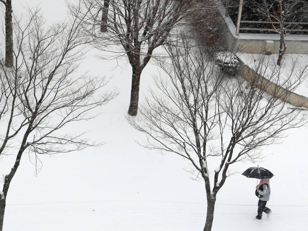 Non solo pioggia, arriva la neve. Occhio a queste zone