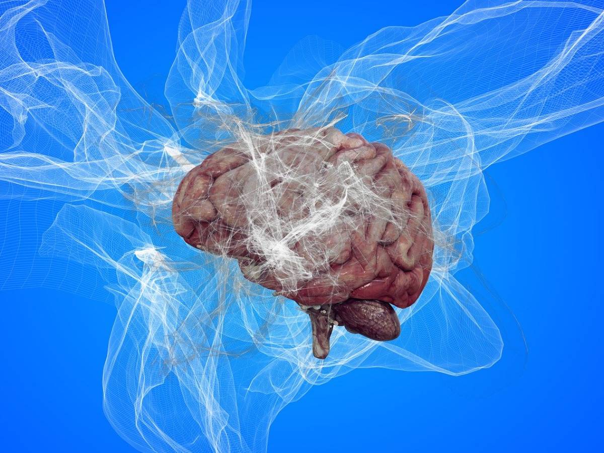 alzheimer perch233 il rischio aumenta nel nord europa da Ilgiornale.it alzheimer perch233 il rischio aumenta nel nord europa