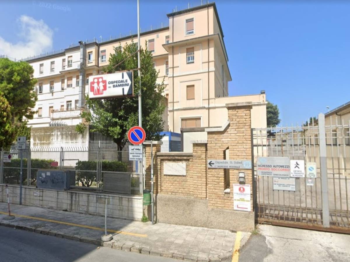 Degrado in ospedale, blatte vicino a un bimbo operato al cervello