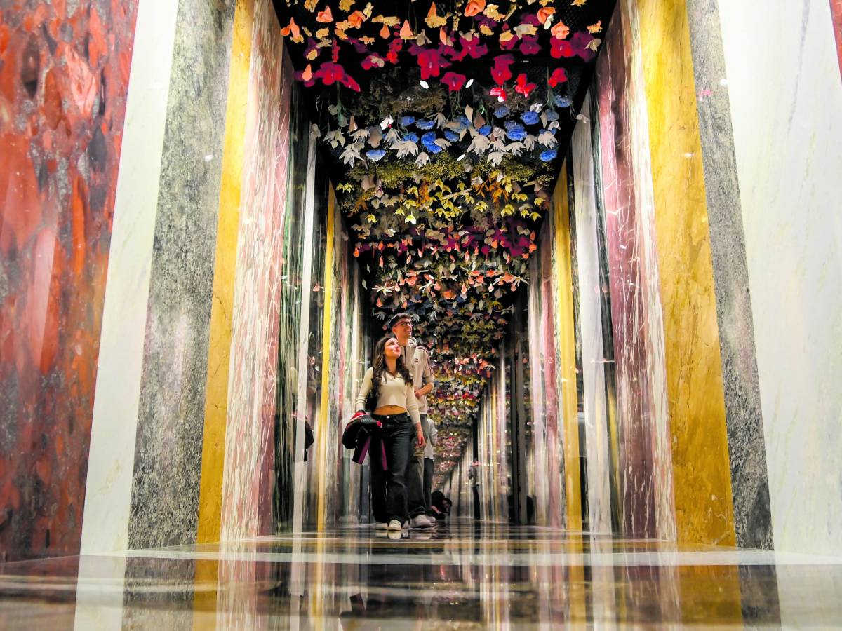 2 NUOVI CUSCINETTI PERGOLATI E CINTURA A V PER SEARS ARTIGIANO - Foto 5