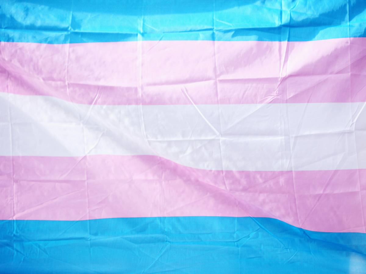 Piccoli passi di sobrietà dopo la sbornia pro trans Piccoli passi di sobrietà dopo la sbornia pro trans