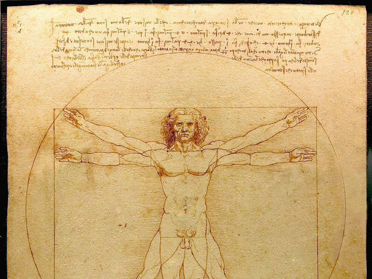 Leonardo e il triangolo della mandibola: scoperta o ennesima proiezione a posteriori?