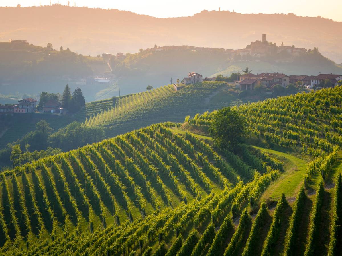 Parusso, in ascolto del Barolo Parusso, in ascolto del Barolo