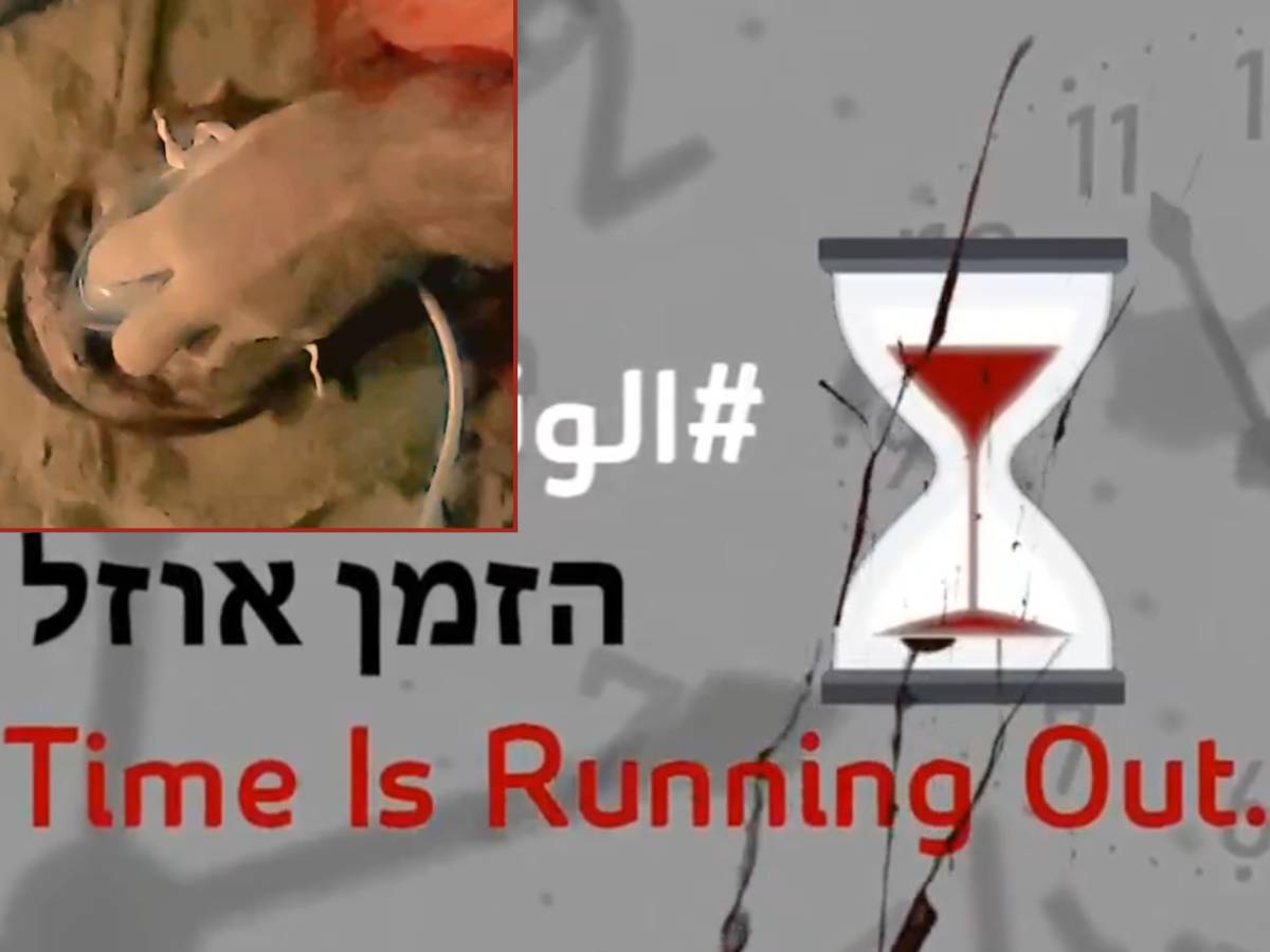 Hamas, orrore senza fine: il video dell Hamas, orrore senza fine: il video dell