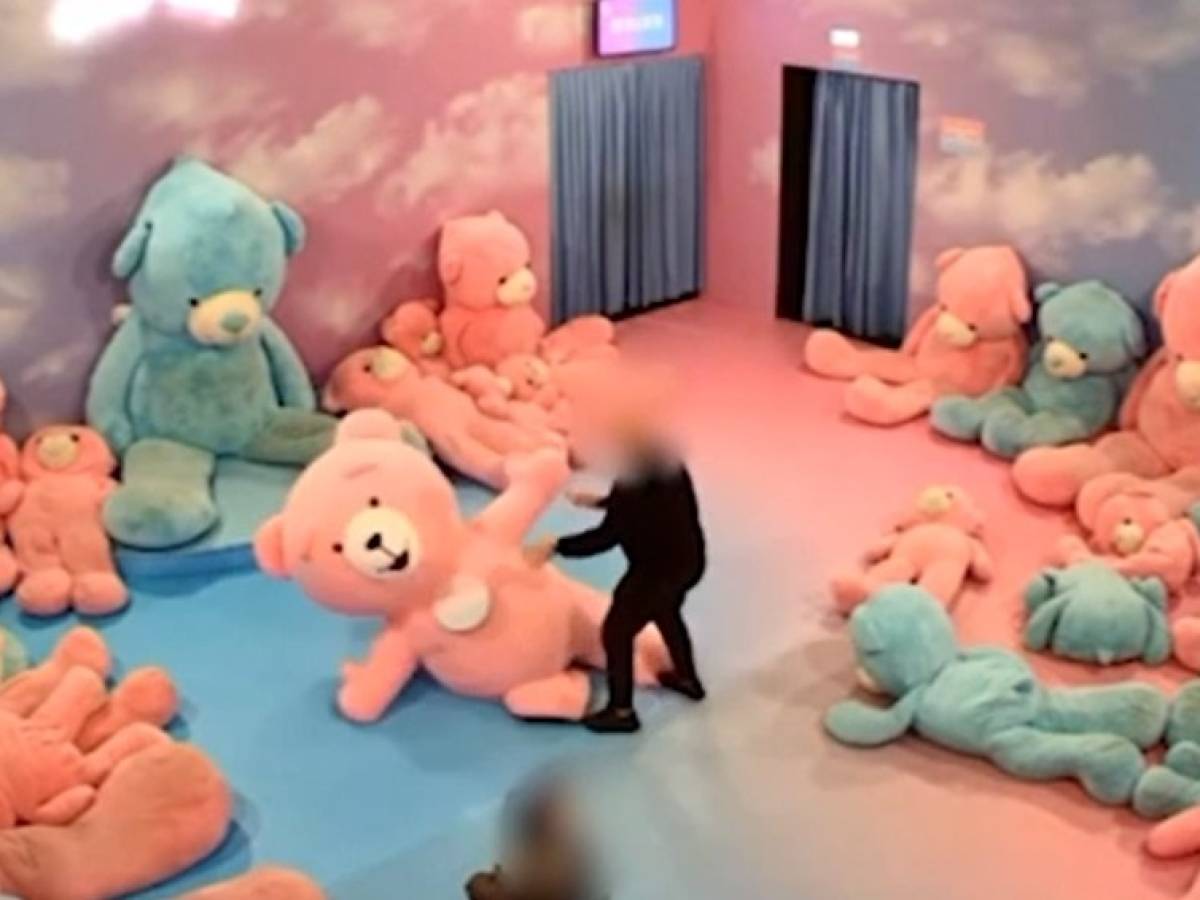 Vestita da orso alla mostra per bimbi, presa a pugni da un visitatore Vestita da orso alla mostra per bimbi, presa a pugni da un visitatore