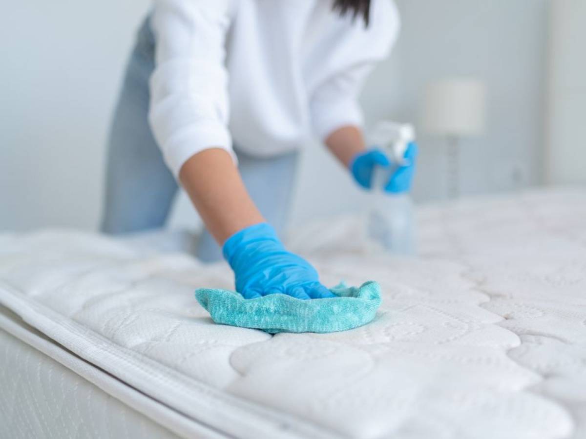 Come eliminare gli acari della polvere in casa?