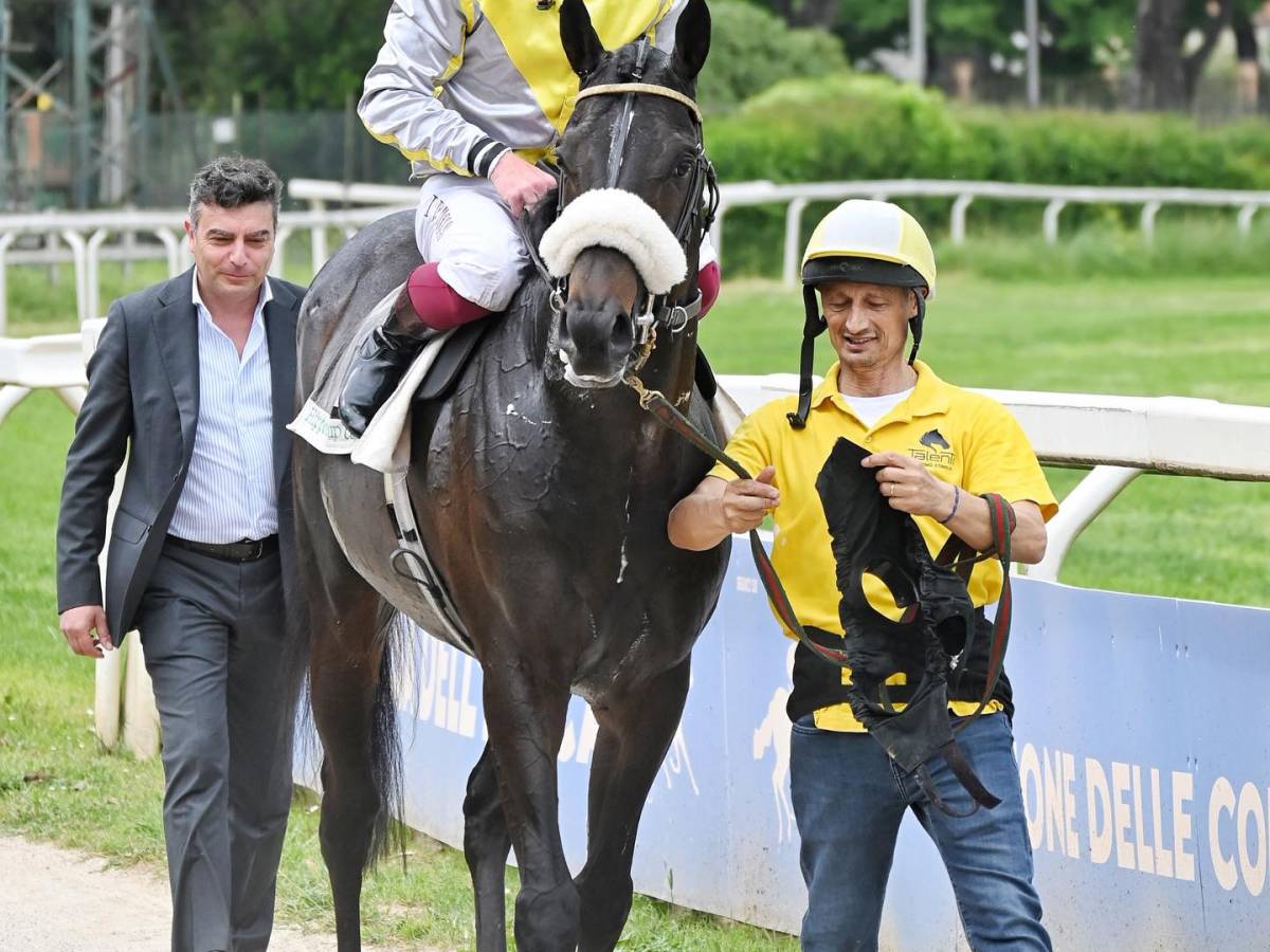 un felice ritiro per il mitico goldenas sfortunato campione da Ilgiornale.it un felice ritiro per il mitico goldenas sfortunato campione