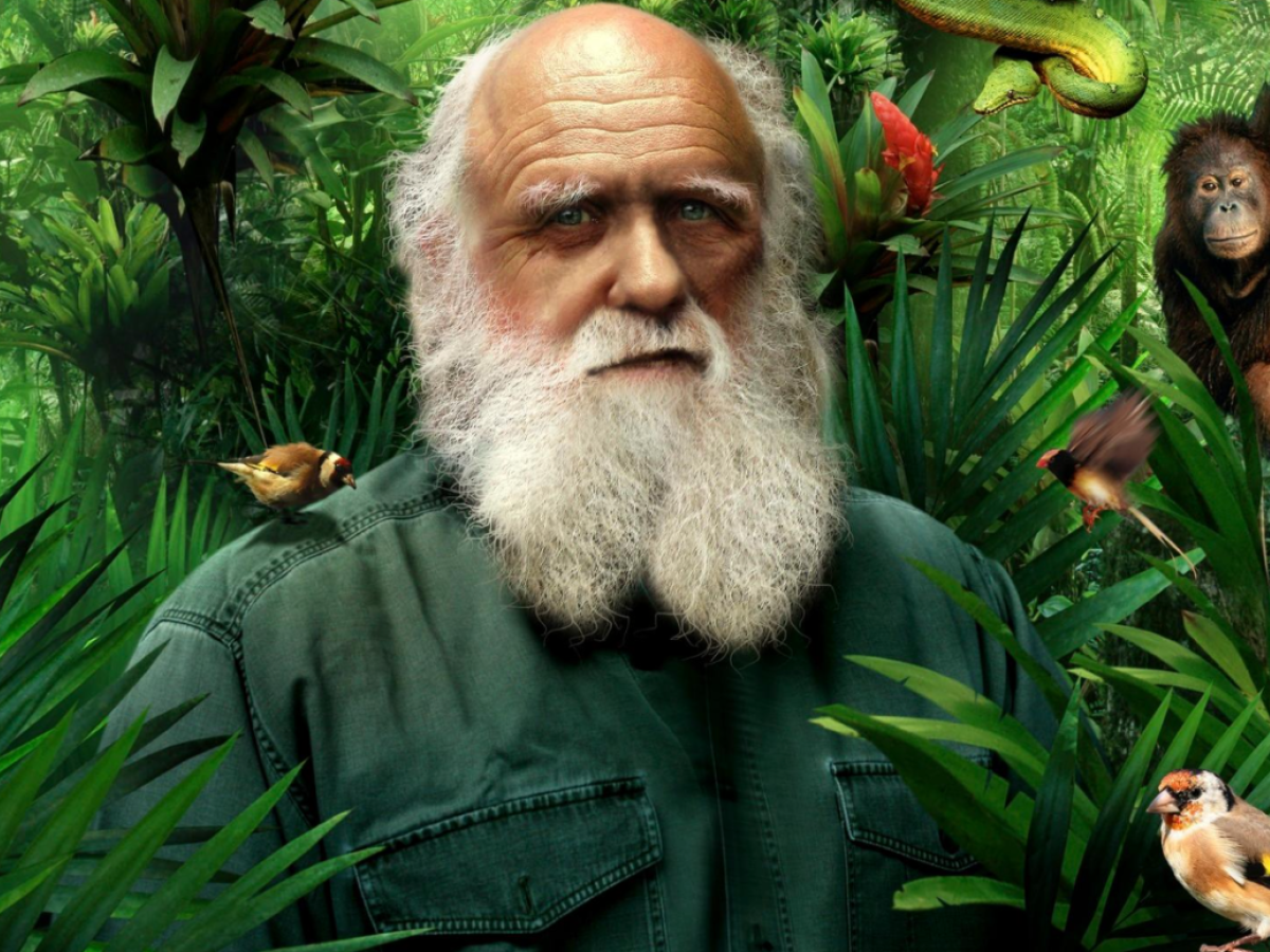 "Darwin spiega la pandemia meglio di chiunque altro" "Darwin spiega la pandemia meglio di chiunque altro"