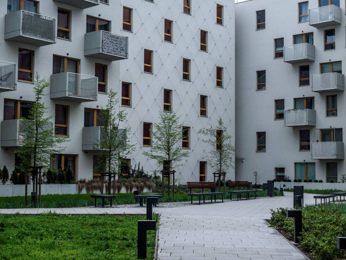 alberi sani nel giardino condominiale chi pu242 decidere di tagliarli e come da Ilgiornale.it alberi sani nel giardino condominiale chi pu242 decidere di tagliarli e come