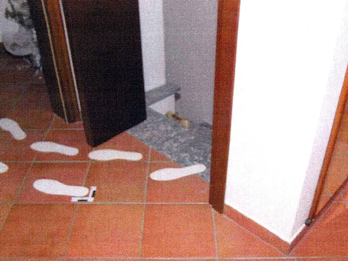 la nuova consulenza della cattaneo possibile finestra del delitto tra le 912 e le 1230 da Ilgiornale.it la nuova consulenza della cattaneo possibile finestra del delitto tra le 912 e le 1230