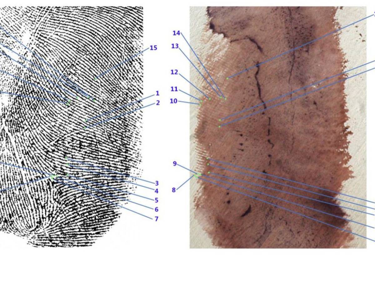 garlasco sempio trema l8217impronta di una scarpa da Ilgiornale.it garlasco sempio trema l8217impronta di una scarpa