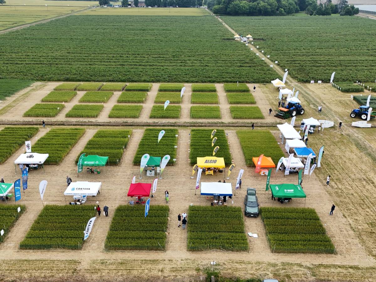 consorzi agrari d8217italia presentato il bilancio di esercizio al 31 dicembre 2024