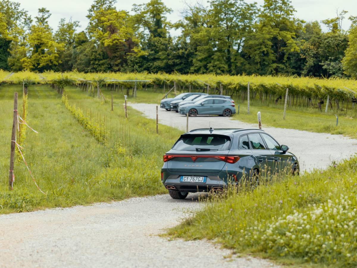 Cupra