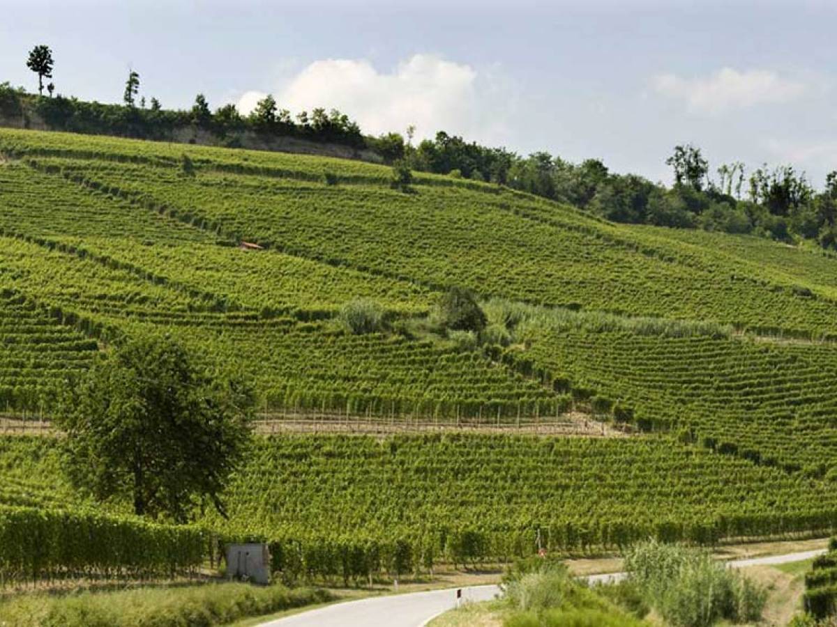 Poderi Luigi Einaudi, degustando la storia Poderi Luigi Einaudi, degustando la storia