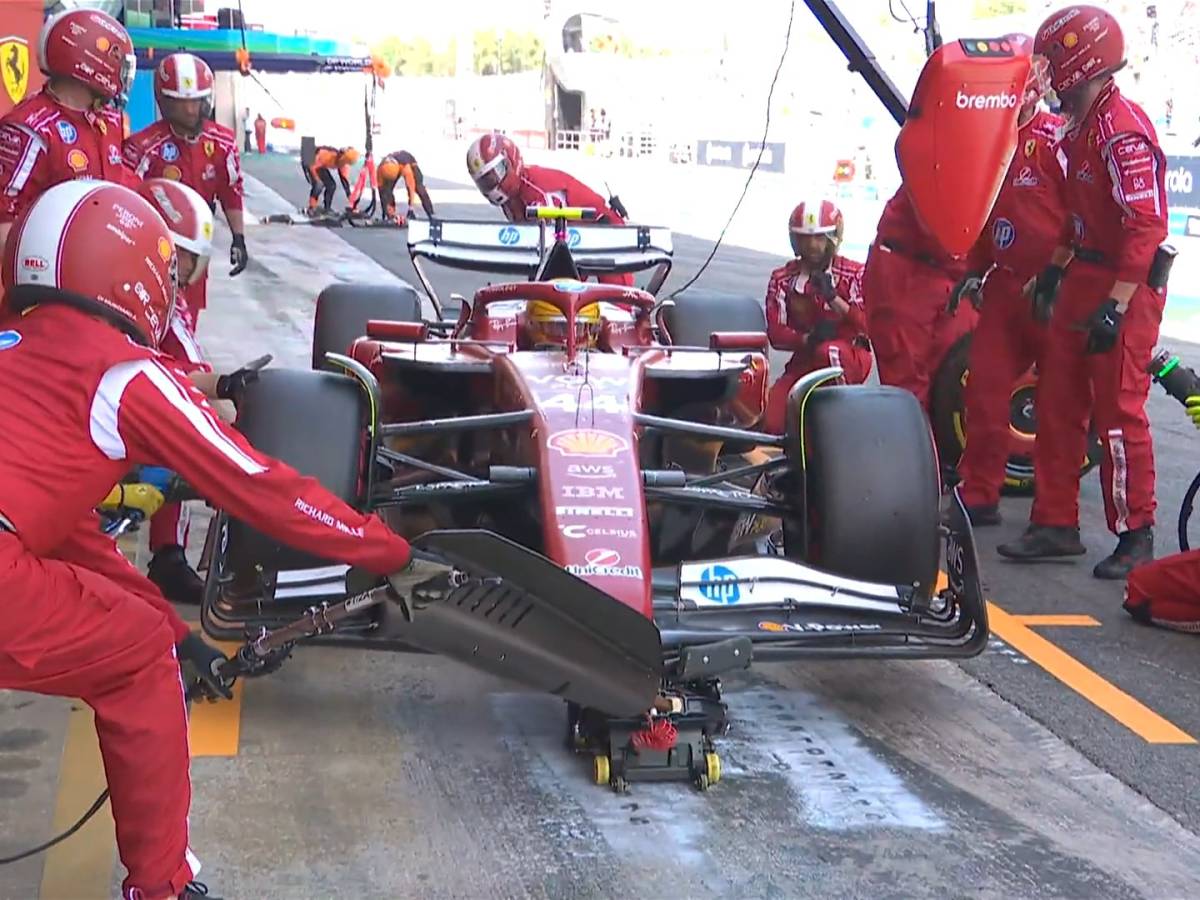 hamilton la marmotta e l incidente