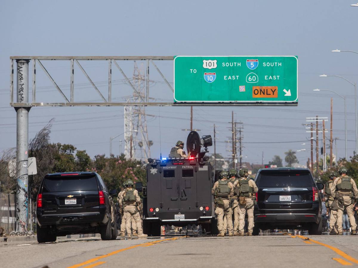 coprifuoco a los angeles arresti di massa trump animali