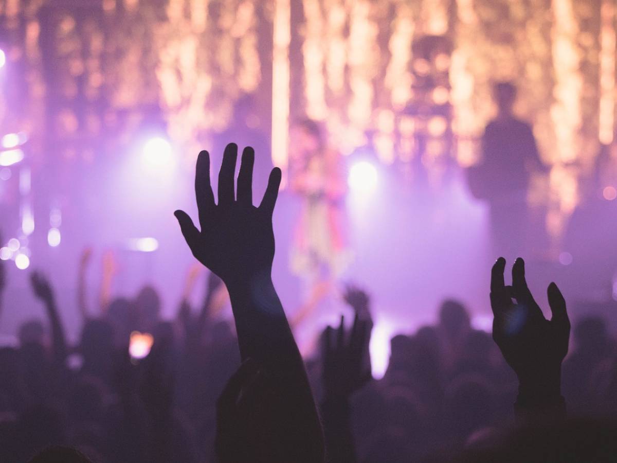 Gli strani fondi al festival Indie. "A Pavia liste di collocamento al posto di quelle elettorali"