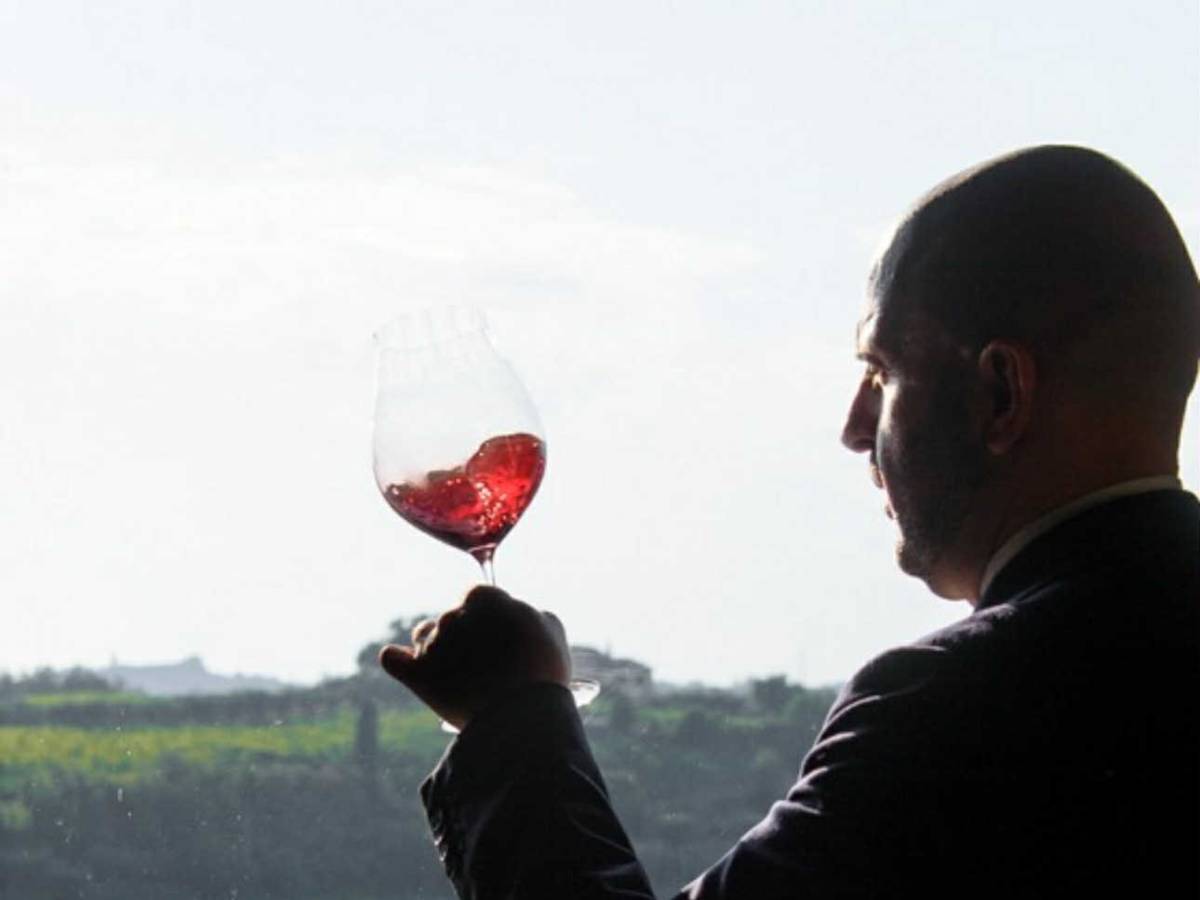 laqua vineyard tra la toscana e il piemonte