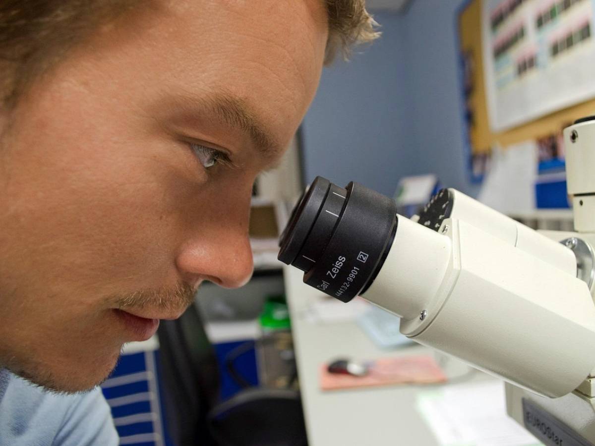 Dna nucleare e mitocondriale: cosa sono e perché sono importanti nelle indagini forensi Dna nucleare e mitocondriale: cosa sono e perché sono importanti nelle indagini forensi